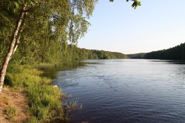 Katedra Ekologii Roślin biologia i ekologia roślin wodnych; struktura i dynamika populacji roślin wodnych; antropogeniczne przemiany jezior; doskonalenie metod ochrony, renaturalizacji i