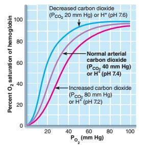 Krzywa wysycenia Hb a CO 2 procent wysycenia