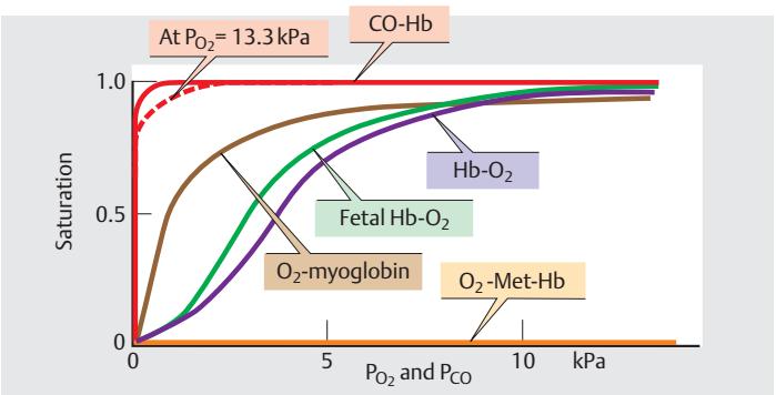 wysycenia hemoglobiny Krzywe wysycenia Hb (O 2 i CO) płodowa