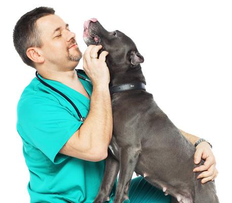 Obszar zainteresowań zawodowych: choroby wewnętrzne psów i kotów, diagnostyka laboratoryjna oraz przede wszystkim onkologia ze szczególnym uwzględnieniem chemioterapii chorób nowotworowych.