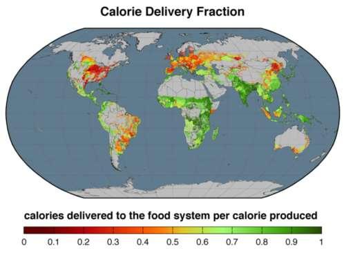 36% of the calories produced by the world s crops are being used for animal feed, only 12% of those feed calories ultimately contribute to the human diet (as meat and other animal products).