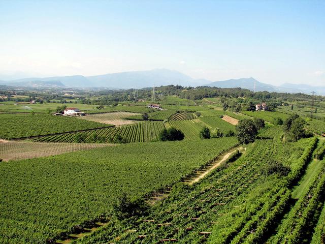 Wlochy Azienda Agricola Giarola Od roku 1923 na ziemiach rodziny Giarola uprawiano winogrona zaś w roku 1968 Umberto Giarola rozpoczął produkcje wina.