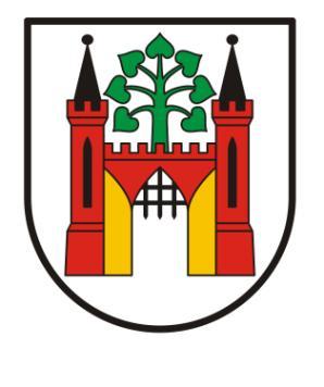 Załącznik do Uchwały nr V/26/2019 r. Rady Miejskiej w Lipnie z dnia 6 lutego 2019 r.