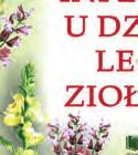 : z truskawek, porzeczek, jagód, poziomek, czereśni, wiśni, płatków i owoców róż, malin, ogórków, pomidorów, papryki, moreli, brzoskwini, jabłek, śliwek,