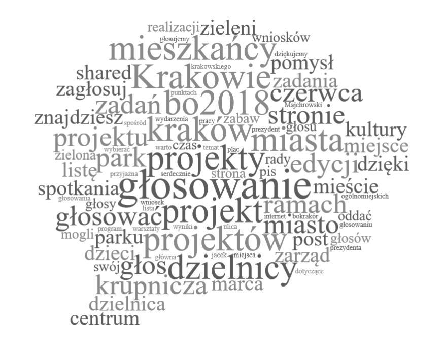 Chmura słów kluczowych Rysunek 56. Chmura słów kluczowych. Źródło: Brand24.