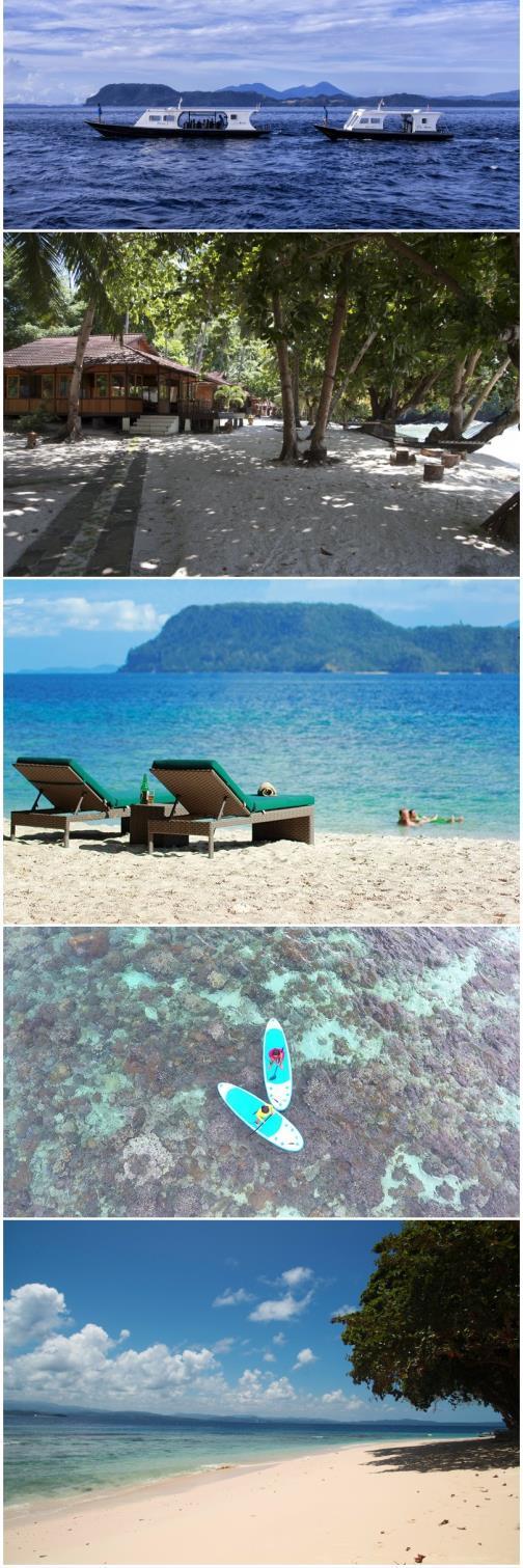 MUREX BANGKA Murex Banga Resort położony na piaszczystej plaży między palmami, oferuje doznania typu Robinson Crusoe.