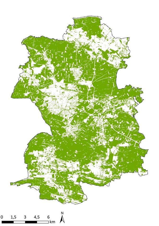 Zalesienie Zielona Góra: 57% Radom: 11%