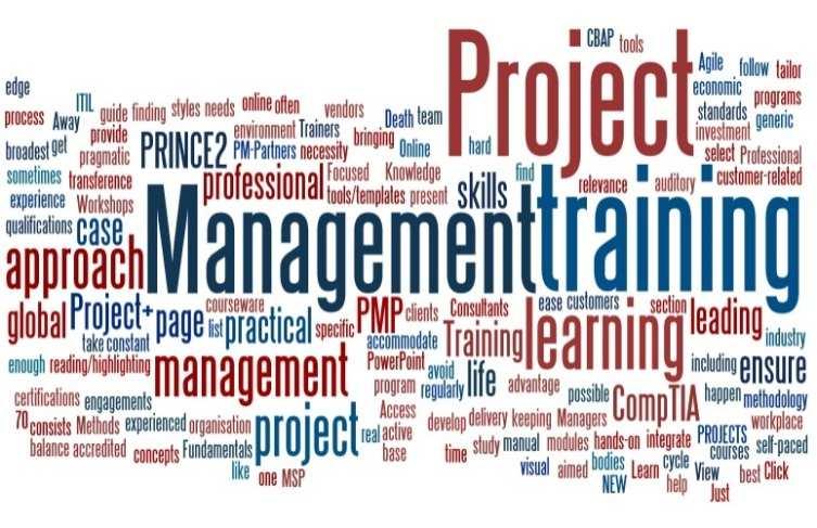 Certyfikacja z dziedziny zarządzania projektami honorowana i uznawana przez firmy na całym świecie: PMP Project Management Professional CAPM Certified Associate in Project Management PgMP Program