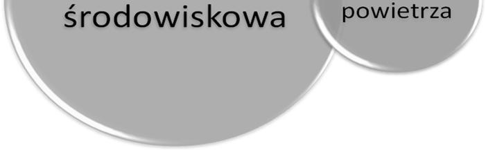 Na podstawie zebranych danych wskaźnikowych w końcowym fragmencie podrozdziału opisano skalę i charakter potrzeb rewitalizacyjnych w zakresie każdego z rozpatrywanego kryterium delimitacji.