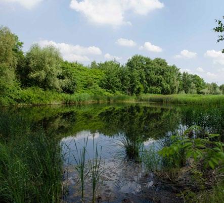 Funkcjonalna przestrzeń Odnowa przyrody Porządkowanie przestrzeni w ramach rewitalizacji będzie miało miejsce nie tylko w zdegradowanych, zamieszkałych dzielnicach.