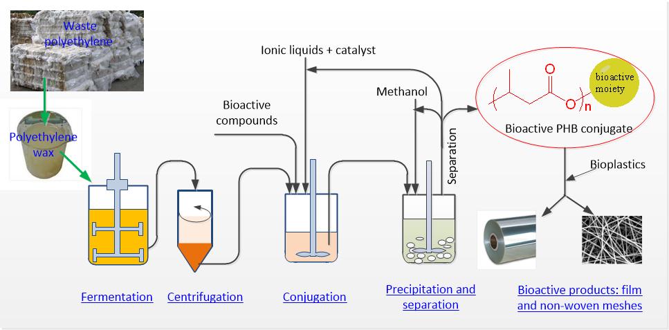 Bioactive