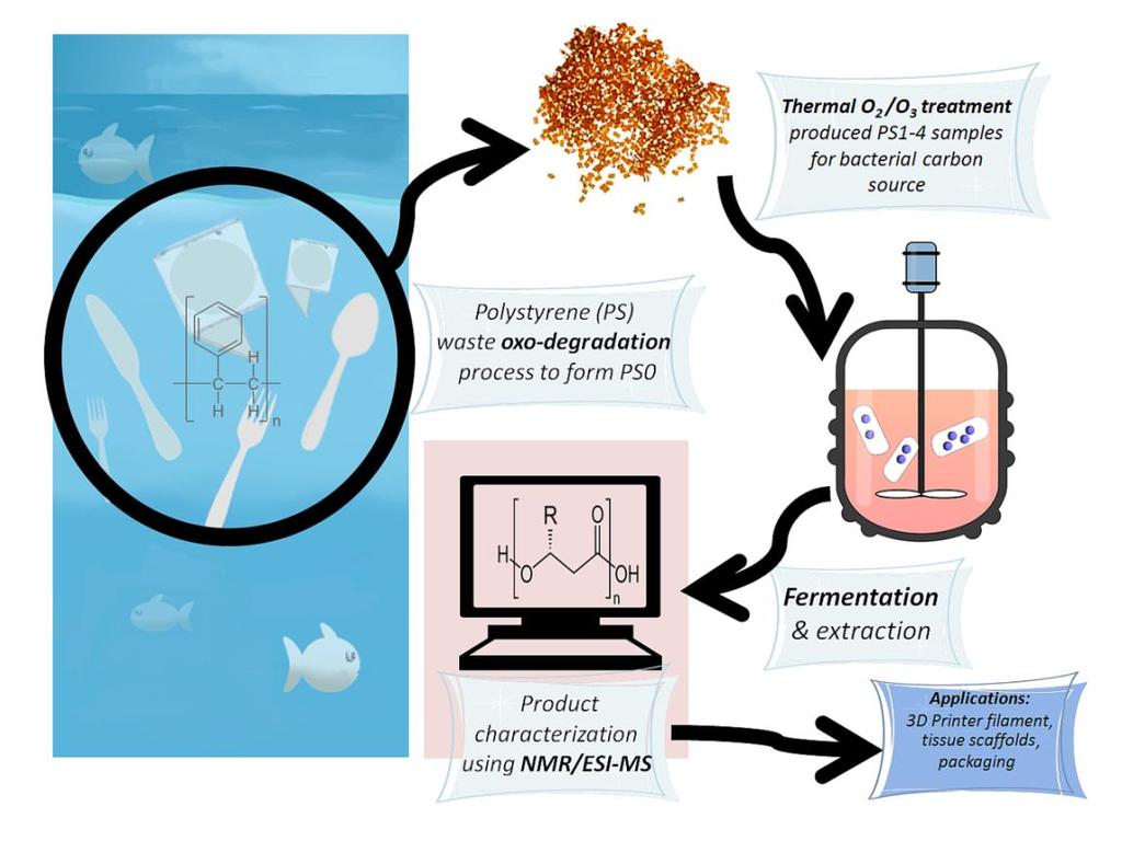 The Microbial Production of PHA from Waste Polystyrene Fragments Attained Using Oxidative Degradation In