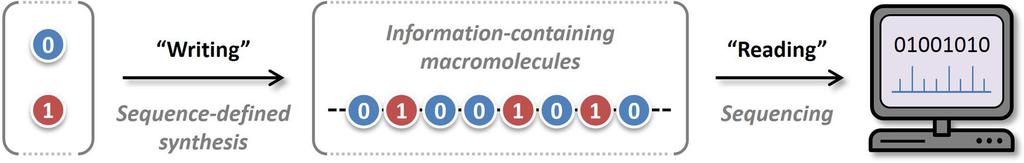 Future trends ESI-MS n for molecular labeling Coding Macromolecules: inputting information in polymers