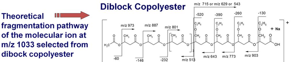 Decoding 0 0 0 0 0 1 1 1 1 decimal system 15 Macromolecules,