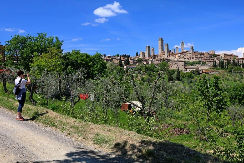 Dzień 4 San Gimignano i spacer wśród winnic. Dzień spędzimy w San Gimignano, noszącym przydomek Średniowieczny Manhattan.