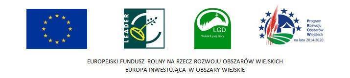 FORMULARZ ZGŁOSZENIOWY PODMIOTU - UCZESTNIKA PROJEKTU Spotkania lokalnego biznesu Wokół Łysej Góry Nr formularza zgłoszeniowego:.. Data składania formularza: Dane podstawowe 1.