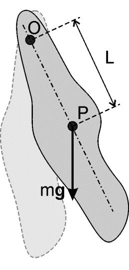 Zadanie 1.1.3: wahadło fizyczne Rysunek (1.1.3) przedstawia wahadło fizyczne. Ciało o masie m waha się na osi zawieszonej w punkcie O.