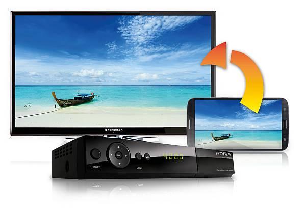AUDIO (L/R): Analogowe wyjście audio stereo 2xRCA. CVBS: Analogowe wyjście wideo 1 x RCA. SPDIF: Cyfrowe optyczne wyjście audio. TV: Wyjście SCART do podłączenia telewizora.