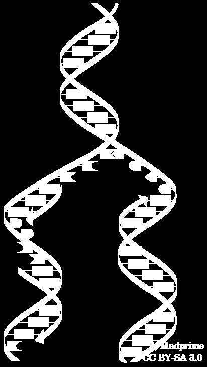 Informacja Jaka ilość danych jest potrzebna by zapisać pełen ludzki kod DNA?
