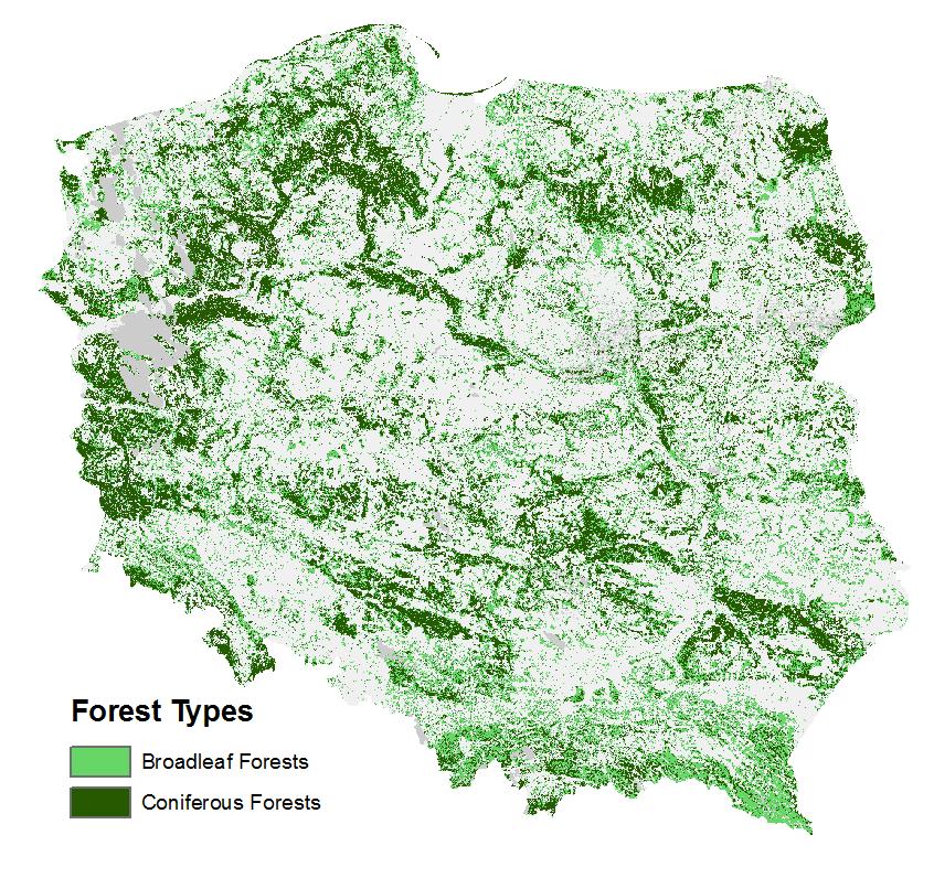 70% (głównie sosan) lasy liściaste 30% (dąb, brzoza oak, buk) Średni wiek: ok 60 lat