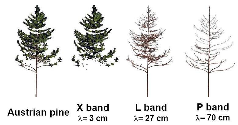 S-band 12 cm L-band 24 cm