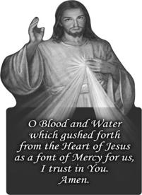 I would also like to express a warm "Thank you" to all who made our celebrations beautiful through their dedicated services (music, altar servers, lectors and ushers).