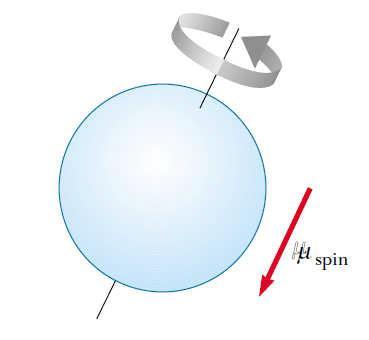 MOMENT MAGNETYCZNY ATOMU Orbitalny moment magnetyczny μ elektronu krążącego wokół jądra jest proporcjonalny do jego momentu pędu.