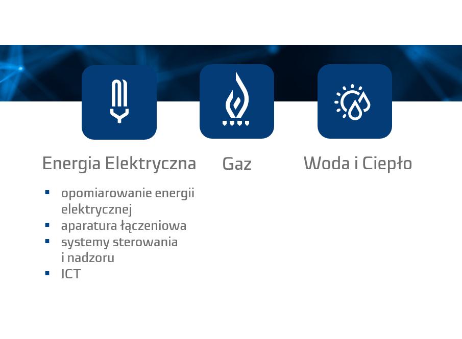 Działalność Grupy koncentruje się na produkcji i sprzedaży przyrządów pomiarowych, aparatury kontrolnopomiarowej, rozdzielczej i sterowniczej, systemów informatycznych klasy SCADA oraz