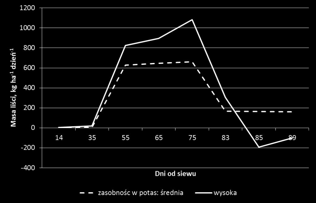 Dynamika biomasy buraka cukrowego w okresie wegetacji Zasobność