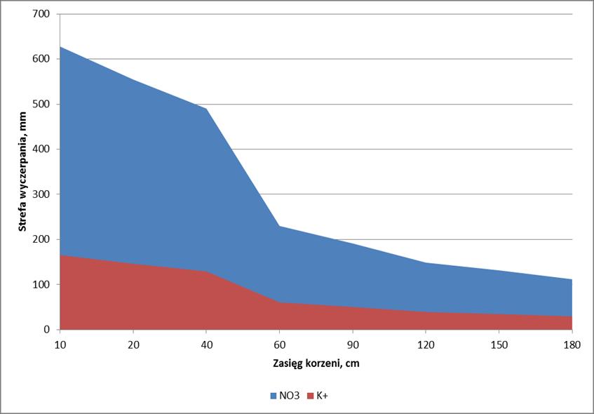 Strefa wyczerpania azotu i potasu wokół korzenia 1.