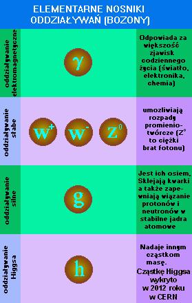 4 nośniki oddziaływania odpowiadają trzem z czterech fundamentalnych oddziaływań: elektromagnetyczne - wirtualne fotony elektrosłabe bozony W i Z silne