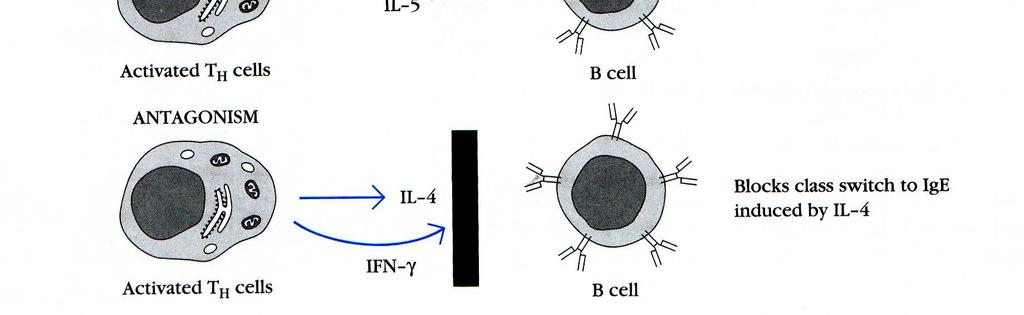 biologicznej