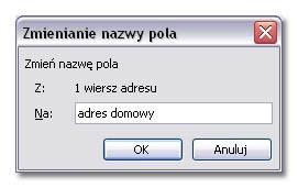 Aby usunąć zbędną nazwę pola, zaznacz ją i kliknij przycisk Usuń. Usunięcie potwierdź.