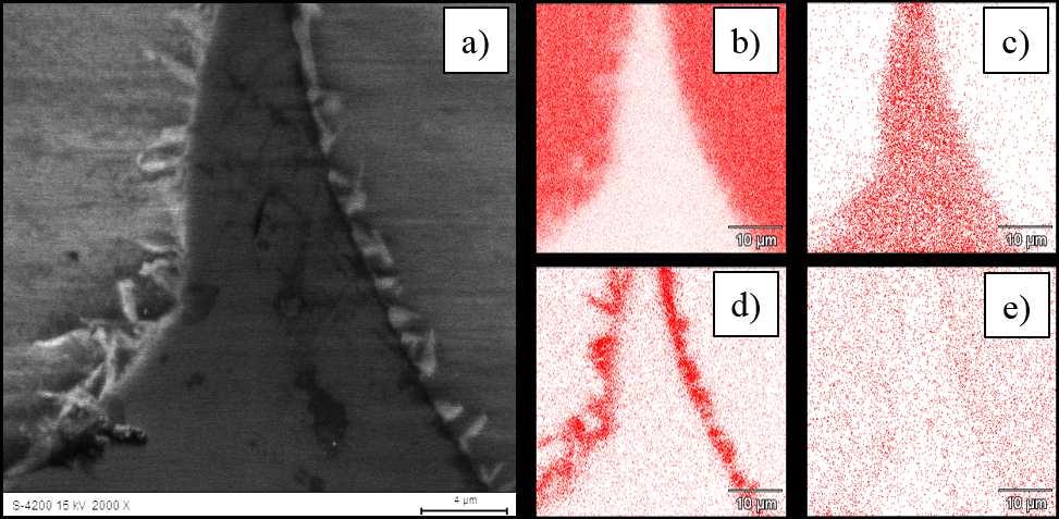 Microstructural corrosion effects on carbon foam - AZ31 magnesium matrix composite surface 135 infiltration presented in Figures 2 and 3 revealed C of well filled by the AZ31 alloy and continuous
