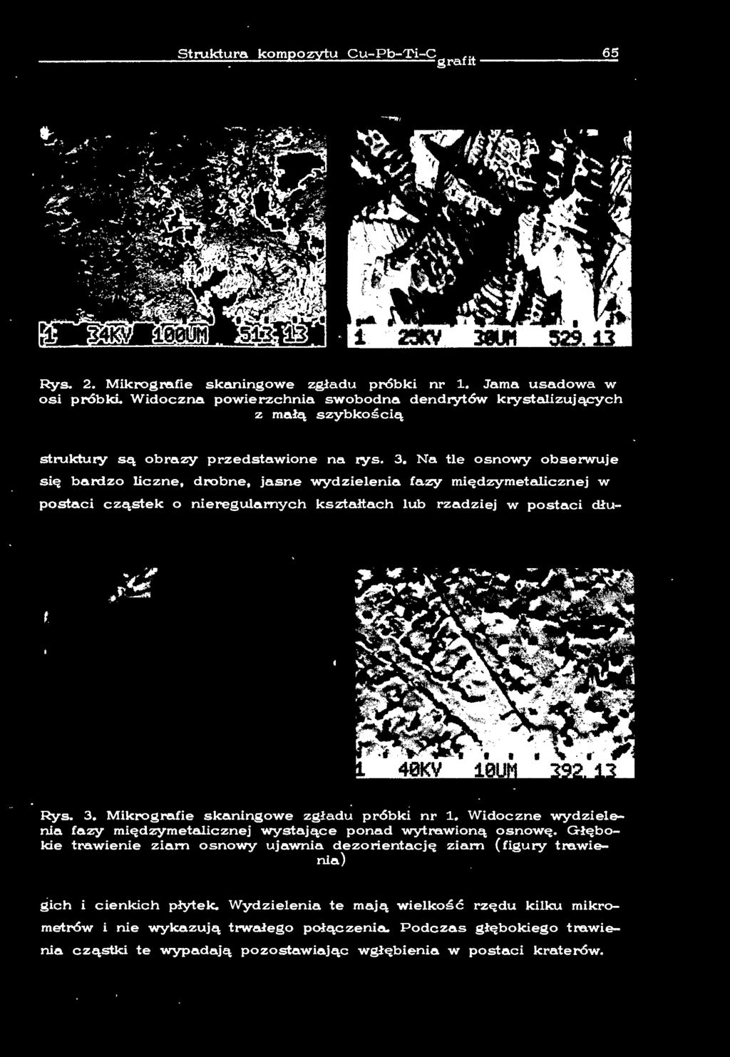 w postaci dłu- Rys. 3. Mikrografie skaningowe zgładu próbki nr 1. Widoczne wydzieenia fazy międzymetaicznej wystające ponad wytrawioną osnowę.