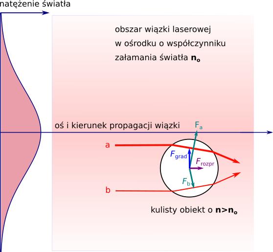 Foton 143, Zima 2018 47 Rys. 1. Siły działające na kulisty obiekt w wiązce laserowej o gaussowskim profilu natężenia światła.