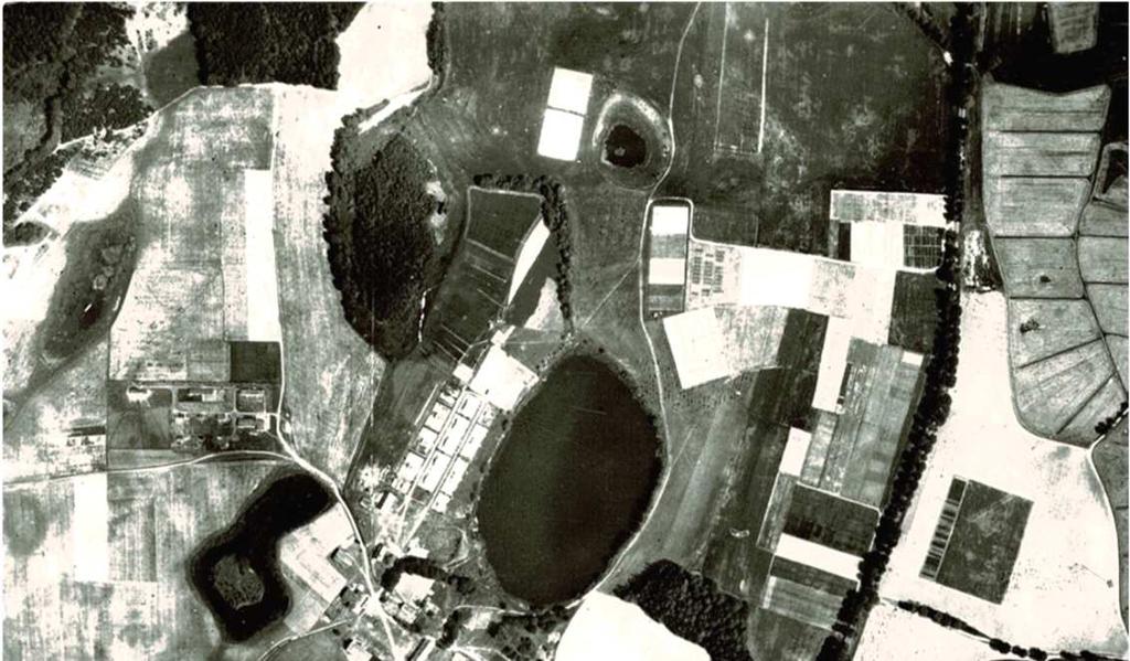 Rok 1964 Sposób użytkowania* Powierzchnia [ha] Pola uprawne 18,15 33 Ferma rolnicza 13,75 25 Użytki zielone 23,1 42 RAZEM