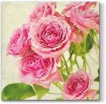 ROSES ROSALIA