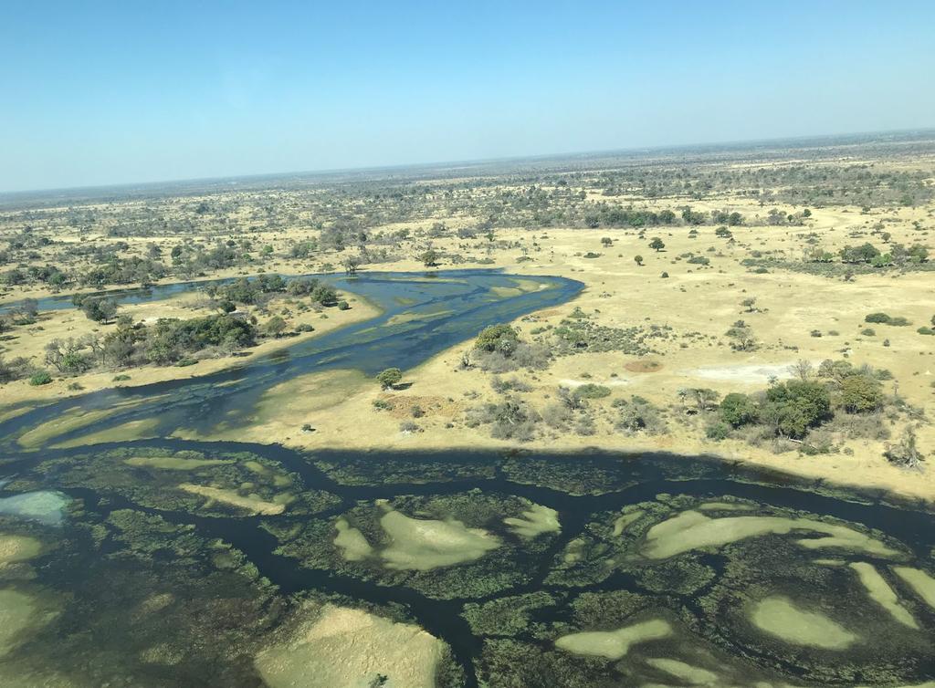 NAJLEPSZE REZERWATY NA S WIECIE! ZIMBABWE I BOTSWANA Dla kochaja cych przyrode, Botswana to pozycja obowia zkowa.