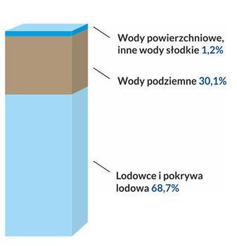 Ziemi ( około 1