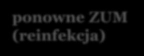 Podział nawrót ZUM kolejne ZUM występujące po leczeniu przeciwdrobnoustrojowym, spowodowane przetrwaniem w drogach moczowych drobnoustroju będącego przyczyną poprzedniego ZUM w praktyce: gdy objawy