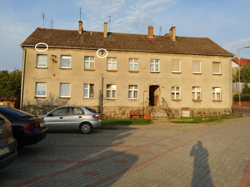 marzec 15 sierpień. Podobne zalecenia obowiązują również, gdyby prace prowadzone były w latach późniejszych. Zalecenia w przypadku nietoperzy są podobne jak podane dla ptaków.