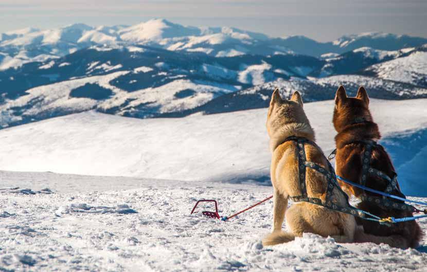 Eventy z Wataha Tatry Psie zaprzęgi Psie zaprzęgi są oryginalną i ciekawą atrakcją podczas imprez integracyjnych.