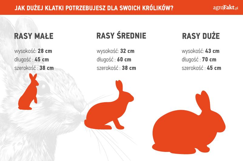 https://www. Hodowla królików wymaga odpowiednich wymiarów klatek. Są to jednak wymiary dla utrzymania 1 szt.