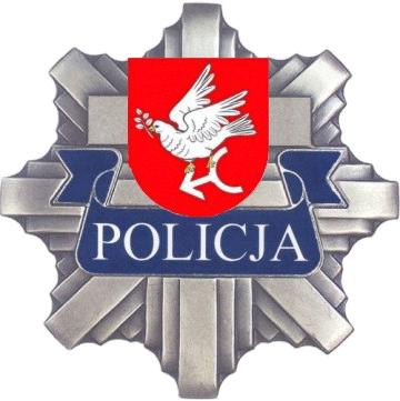 Załącznik do Uchwały Nr IX/51/2015 Rady Powiatu Golubsko-Dobrzyńskiego z dnia 26 marca