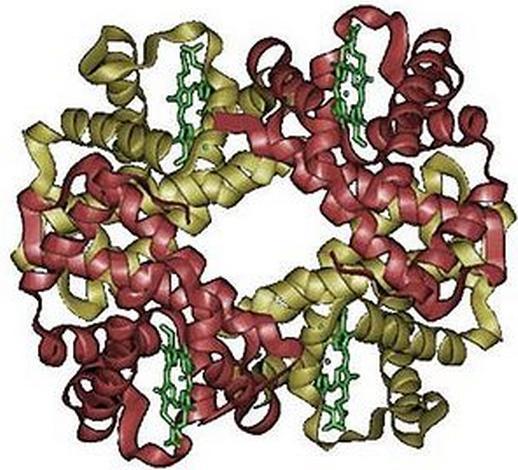 Poziomy organizacji białek Struktura