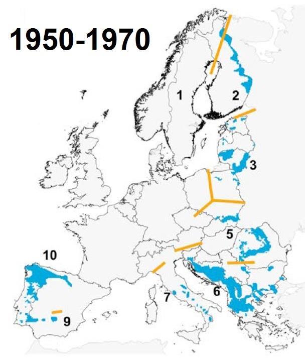 Wilk w Europie w latach 1950-70 ~ 5 000 osobników