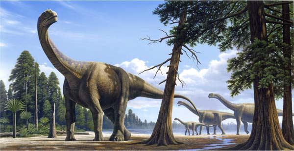W dawnych czasach https://dinoanimals.