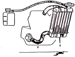 Sprawdź szczelność chłodnicy i przewodów doprowadzających ( brak wycieków ). Sprawdź czy nie ma plam płynu chłodzącego pod pojazdem.
