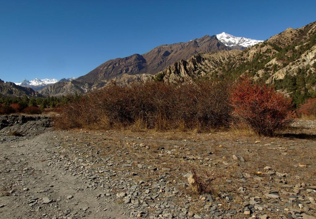 DZIEŃ TRZECI POKHARA - TIKHEDHUNGA